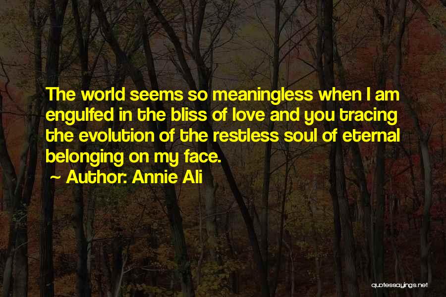 Annie Ali Quotes: The World Seems So Meaningless When I Am Engulfed In The Bliss Of Love And You Tracing The Evolution Of