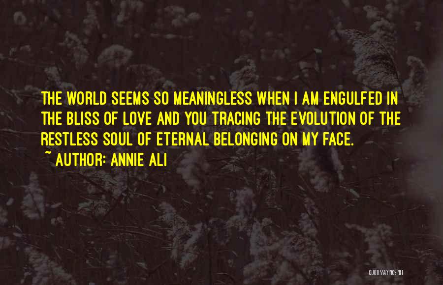 Annie Ali Quotes: The World Seems So Meaningless When I Am Engulfed In The Bliss Of Love And You Tracing The Evolution Of