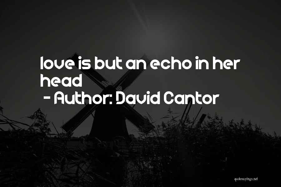 David Cantor Quotes: Love Is But An Echo In Her Head