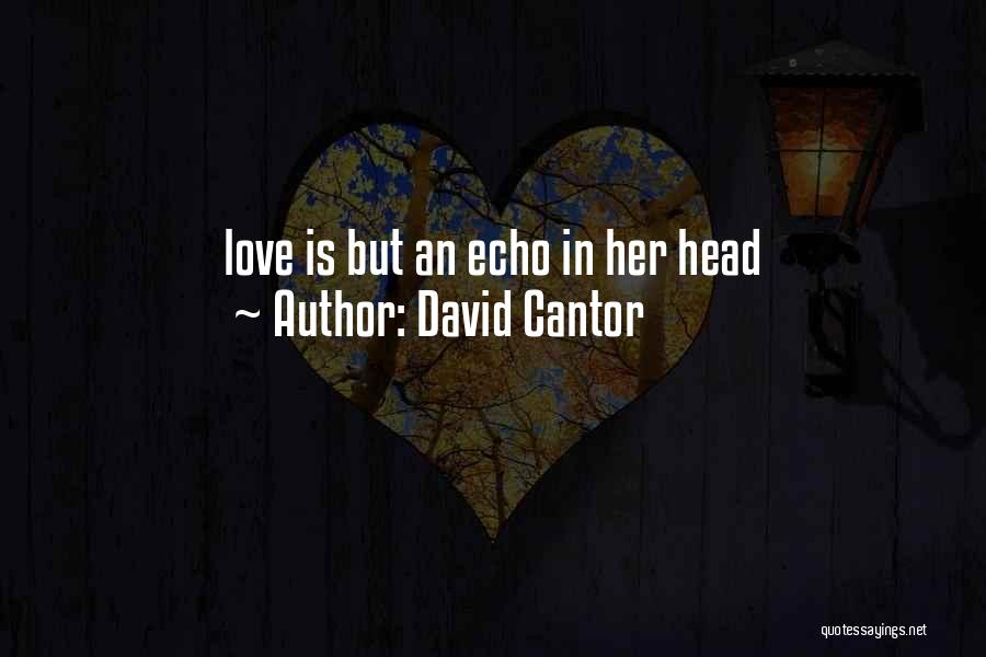 David Cantor Quotes: Love Is But An Echo In Her Head