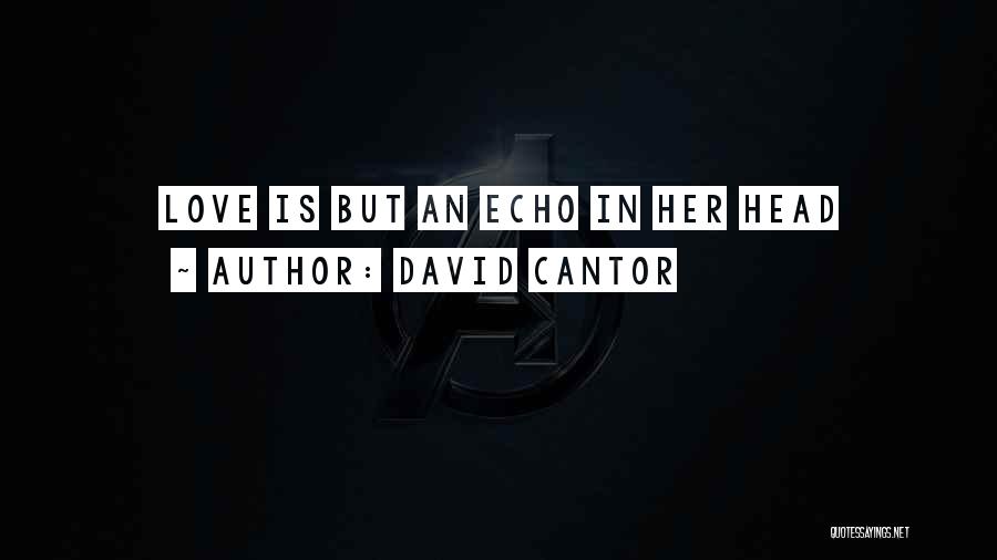 David Cantor Quotes: Love Is But An Echo In Her Head