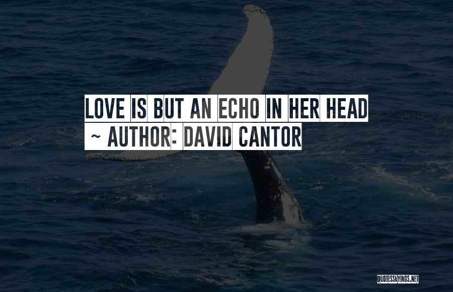 David Cantor Quotes: Love Is But An Echo In Her Head