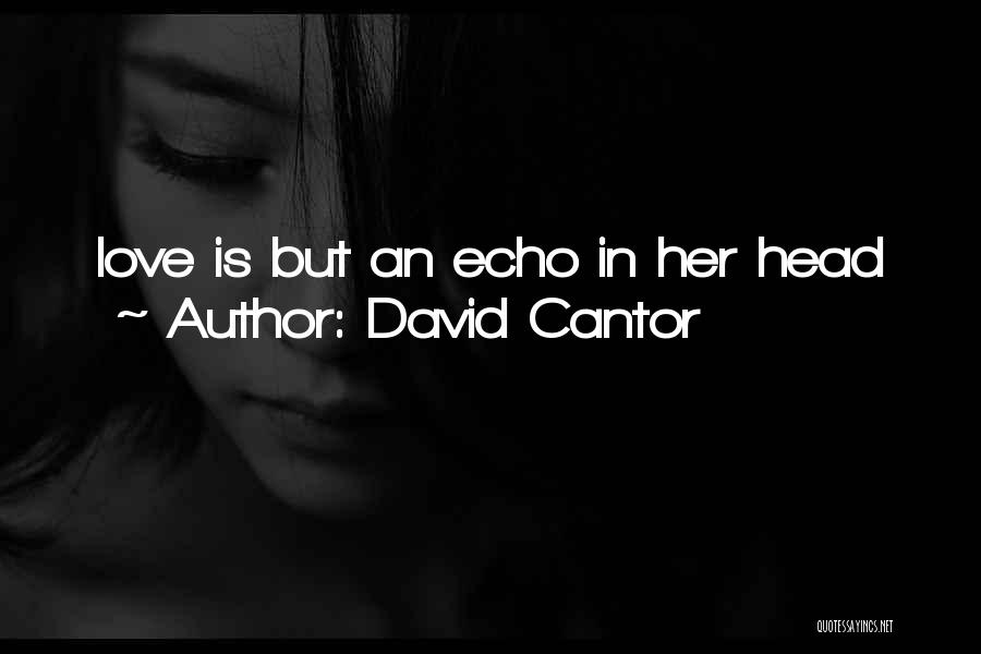 David Cantor Quotes: Love Is But An Echo In Her Head