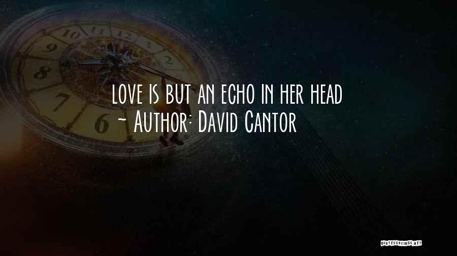 David Cantor Quotes: Love Is But An Echo In Her Head