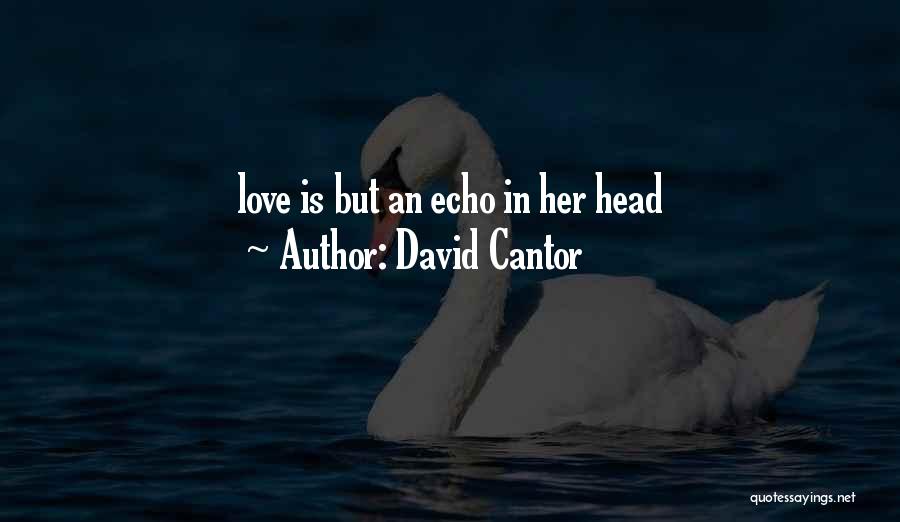 David Cantor Quotes: Love Is But An Echo In Her Head