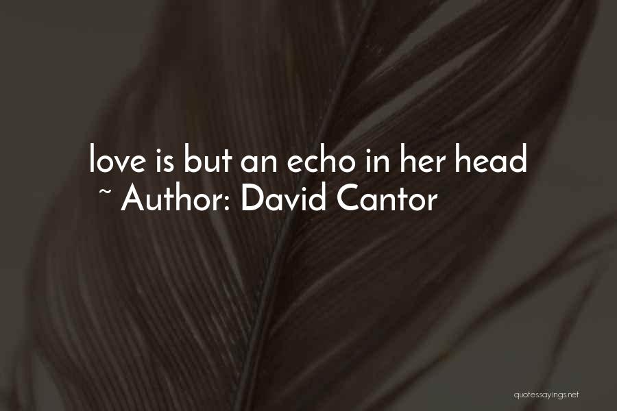 David Cantor Quotes: Love Is But An Echo In Her Head