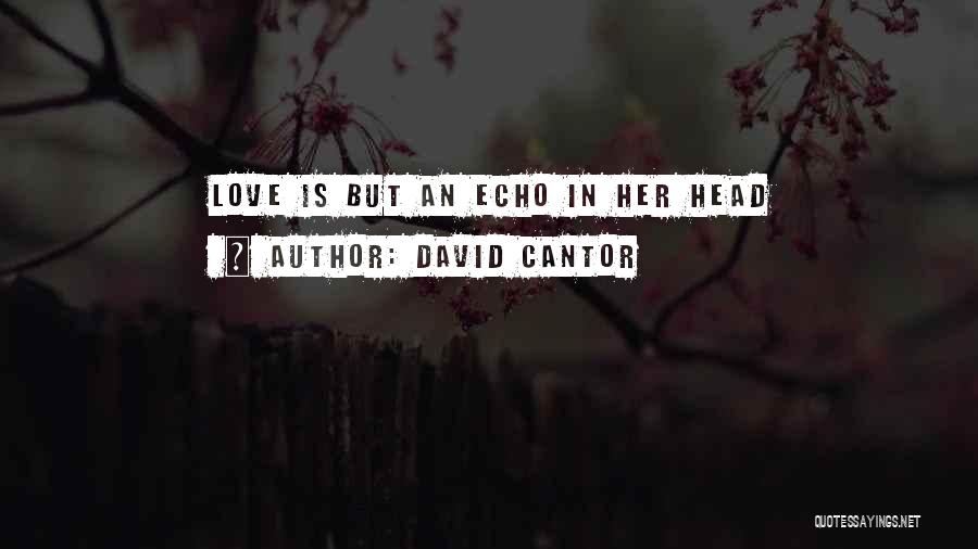 David Cantor Quotes: Love Is But An Echo In Her Head