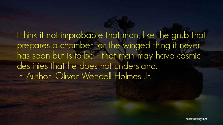 Oliver Wendell Holmes Jr. Quotes: I Think It Not Improbable That Man, Like The Grub That Prepares A Chamber For The Winged Thing It Never