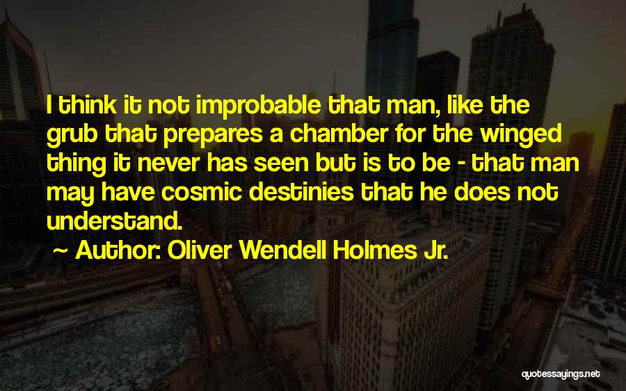 Oliver Wendell Holmes Jr. Quotes: I Think It Not Improbable That Man, Like The Grub That Prepares A Chamber For The Winged Thing It Never