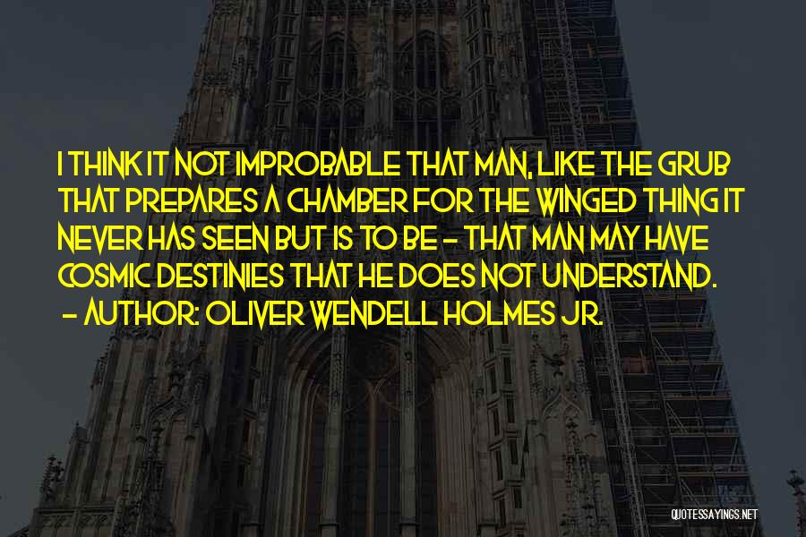 Oliver Wendell Holmes Jr. Quotes: I Think It Not Improbable That Man, Like The Grub That Prepares A Chamber For The Winged Thing It Never