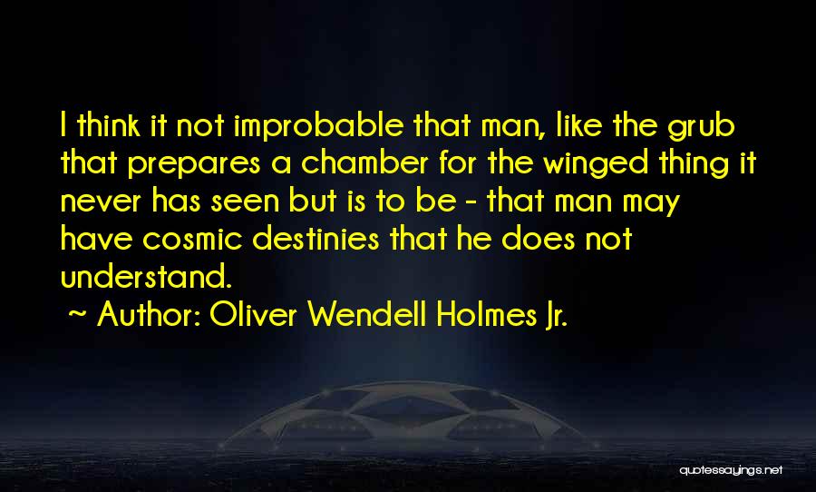 Oliver Wendell Holmes Jr. Quotes: I Think It Not Improbable That Man, Like The Grub That Prepares A Chamber For The Winged Thing It Never