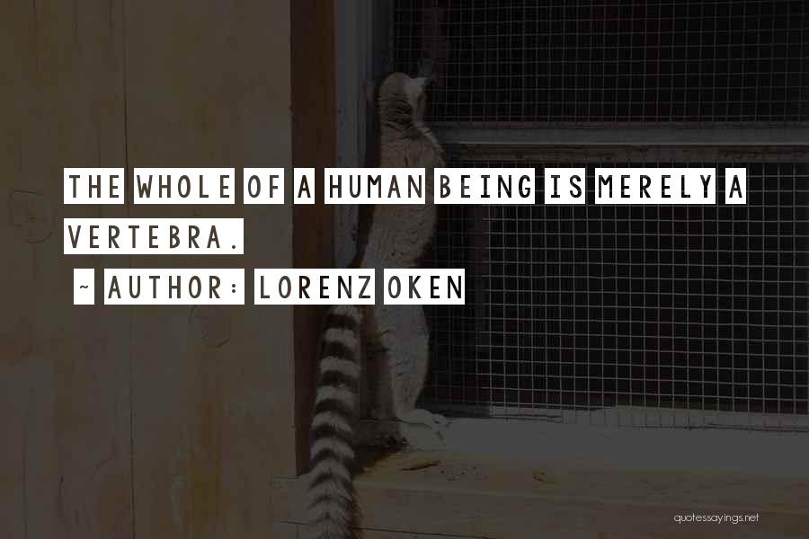 Lorenz Oken Quotes: The Whole Of A Human Being Is Merely A Vertebra.