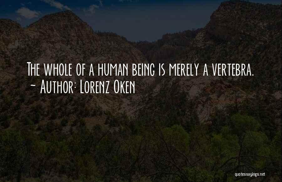 Lorenz Oken Quotes: The Whole Of A Human Being Is Merely A Vertebra.