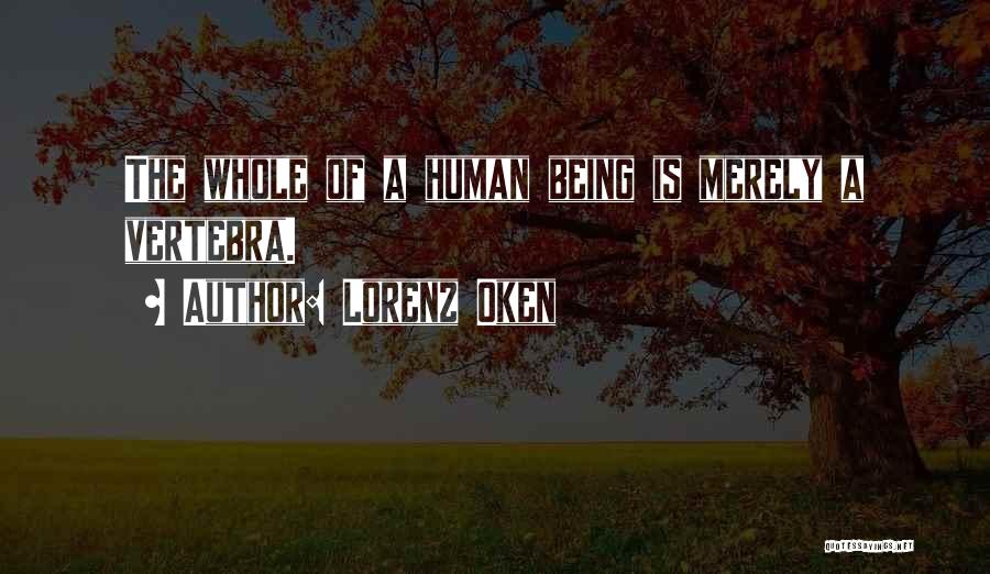 Lorenz Oken Quotes: The Whole Of A Human Being Is Merely A Vertebra.