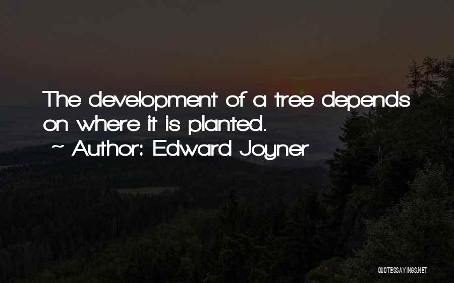 Edward Joyner Quotes: The Development Of A Tree Depends On Where It Is Planted.