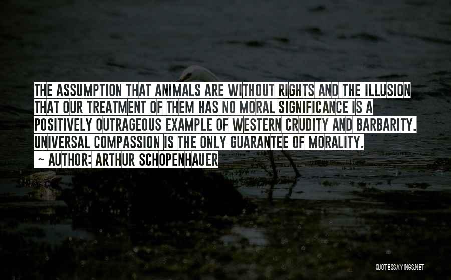 Arthur Schopenhauer Quotes: The Assumption That Animals Are Without Rights And The Illusion That Our Treatment Of Them Has No Moral Significance Is