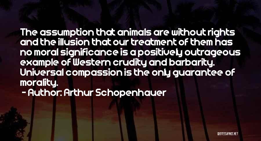 Arthur Schopenhauer Quotes: The Assumption That Animals Are Without Rights And The Illusion That Our Treatment Of Them Has No Moral Significance Is