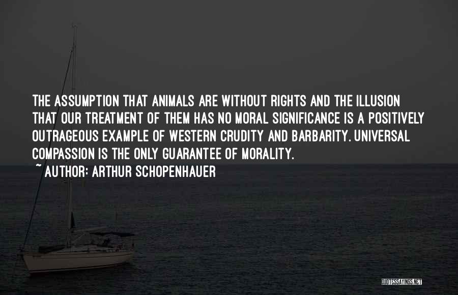 Arthur Schopenhauer Quotes: The Assumption That Animals Are Without Rights And The Illusion That Our Treatment Of Them Has No Moral Significance Is