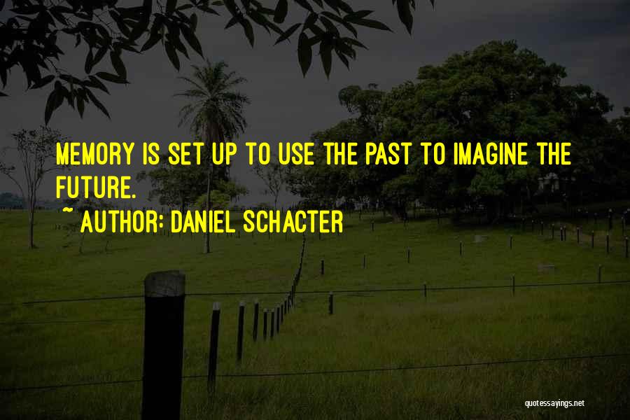 Daniel Schacter Quotes: Memory Is Set Up To Use The Past To Imagine The Future.