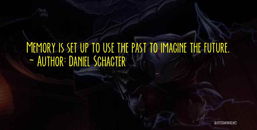 Daniel Schacter Quotes: Memory Is Set Up To Use The Past To Imagine The Future.