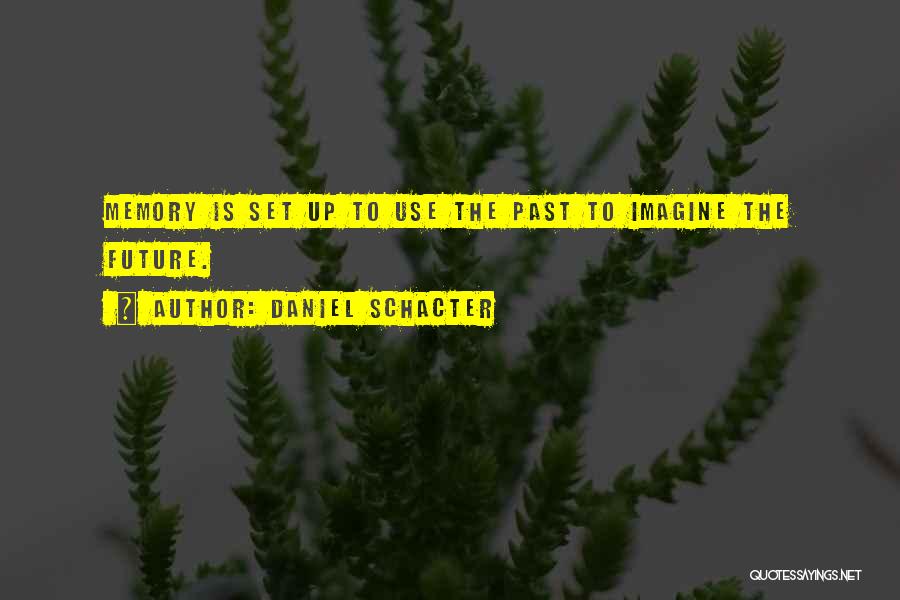 Daniel Schacter Quotes: Memory Is Set Up To Use The Past To Imagine The Future.