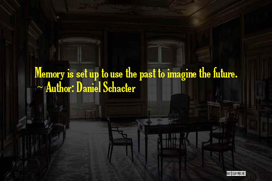 Daniel Schacter Quotes: Memory Is Set Up To Use The Past To Imagine The Future.