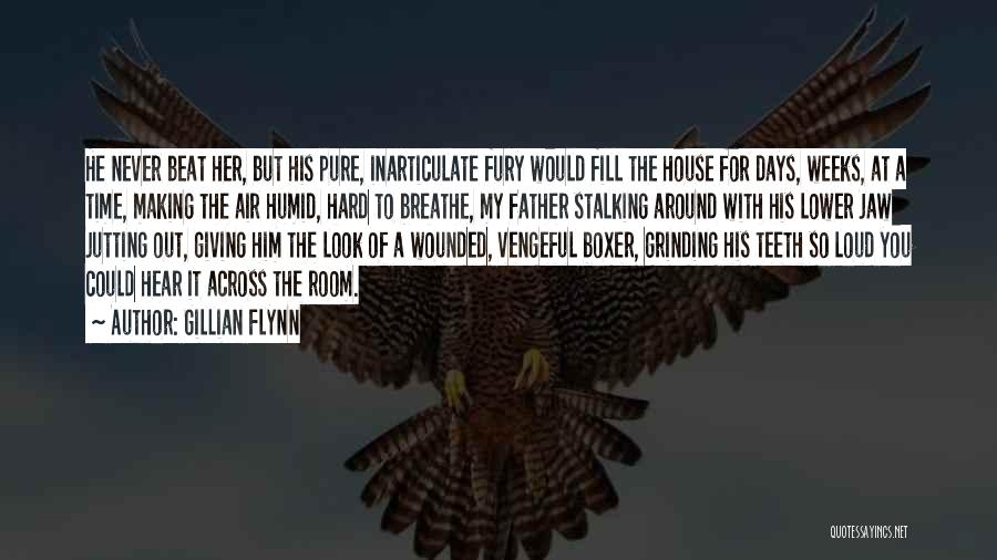 Gillian Flynn Quotes: He Never Beat Her, But His Pure, Inarticulate Fury Would Fill The House For Days, Weeks, At A Time, Making