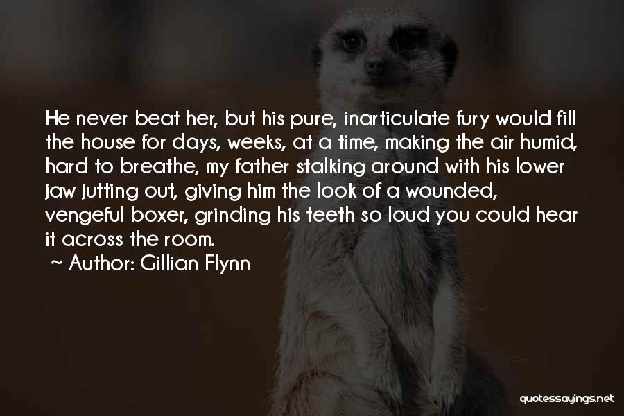 Gillian Flynn Quotes: He Never Beat Her, But His Pure, Inarticulate Fury Would Fill The House For Days, Weeks, At A Time, Making