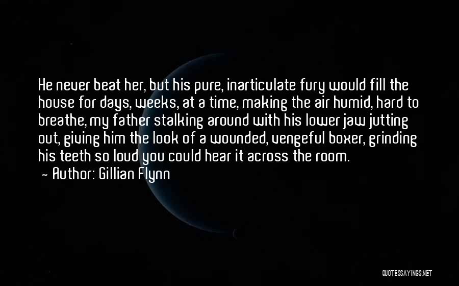 Gillian Flynn Quotes: He Never Beat Her, But His Pure, Inarticulate Fury Would Fill The House For Days, Weeks, At A Time, Making