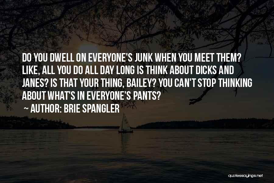 Brie Spangler Quotes: Do You Dwell On Everyone's Junk When You Meet Them? Like, All You Do All Day Long Is Think About