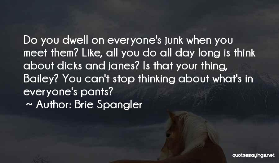 Brie Spangler Quotes: Do You Dwell On Everyone's Junk When You Meet Them? Like, All You Do All Day Long Is Think About