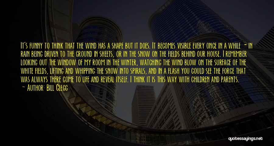 Bill Clegg Quotes: It's Funny To Think That The Wind Has A Shape But It Does. It Becomes Visible Every Once In A