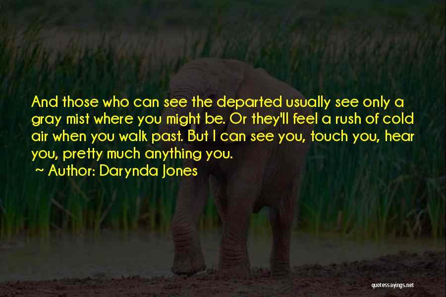 Darynda Jones Quotes: And Those Who Can See The Departed Usually See Only A Gray Mist Where You Might Be. Or They'll Feel