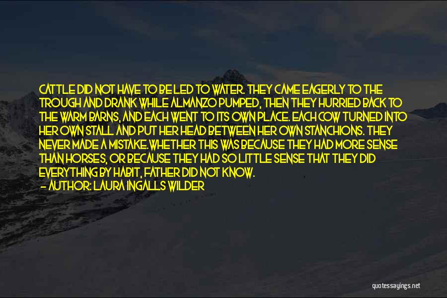 Laura Ingalls Wilder Quotes: Cattle Did Not Have To Be Led To Water. They Came Eagerly To The Trough And Drank While Almanzo Pumped,