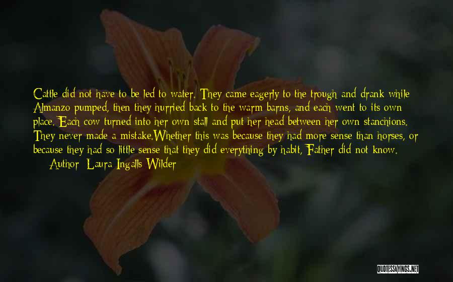 Laura Ingalls Wilder Quotes: Cattle Did Not Have To Be Led To Water. They Came Eagerly To The Trough And Drank While Almanzo Pumped,