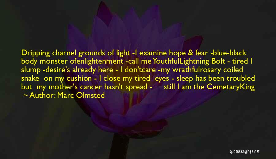 Marc Olmsted Quotes: Dripping Charnel Grounds Of Light -i Examine Hope & Fear -blue-black Body Monster Ofenlightenment -call Me Youthfullightning Bolt - Tired