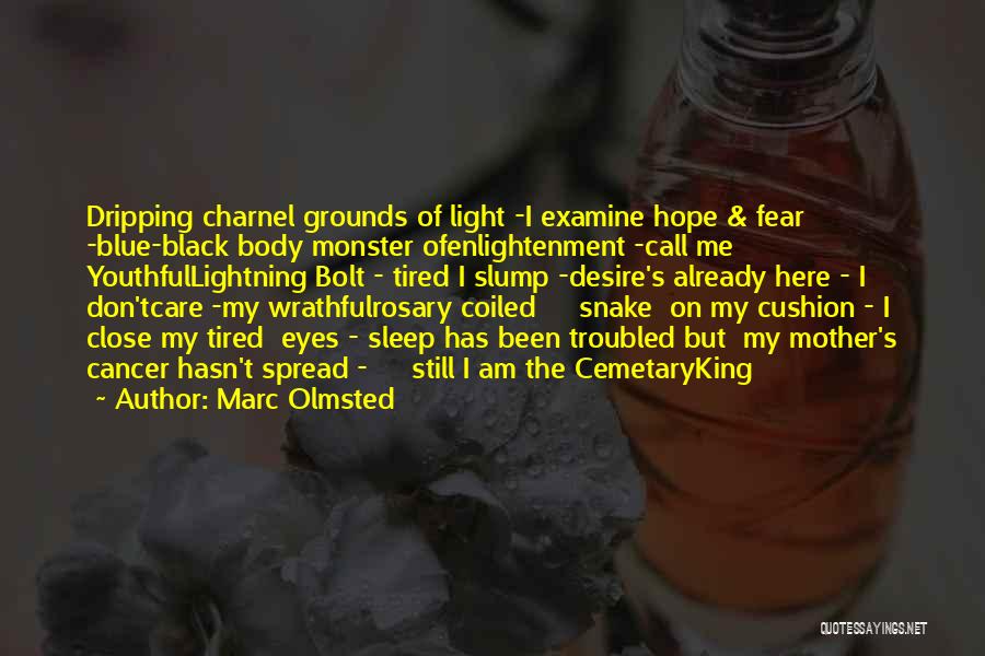 Marc Olmsted Quotes: Dripping Charnel Grounds Of Light -i Examine Hope & Fear -blue-black Body Monster Ofenlightenment -call Me Youthfullightning Bolt - Tired