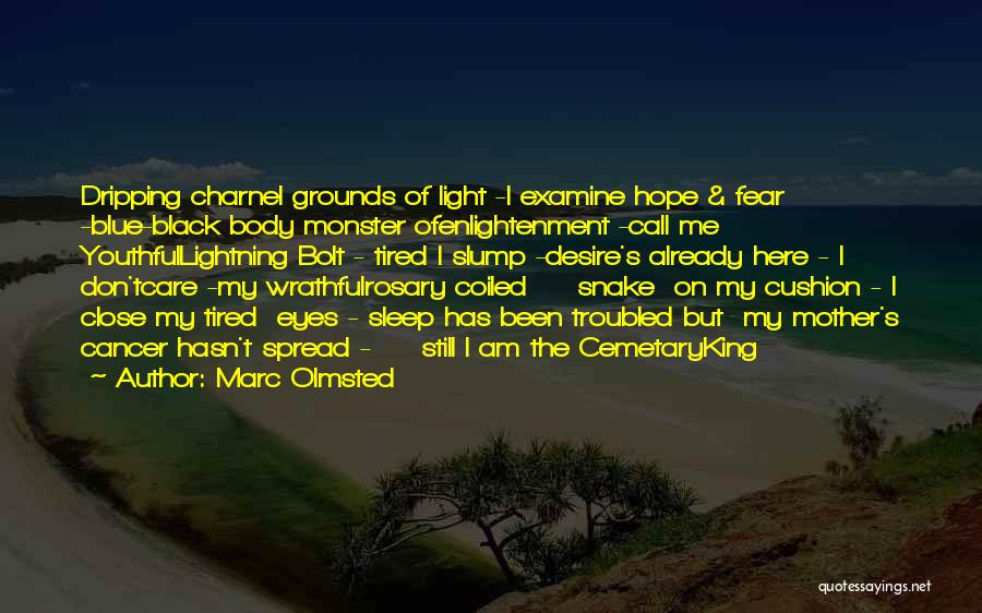 Marc Olmsted Quotes: Dripping Charnel Grounds Of Light -i Examine Hope & Fear -blue-black Body Monster Ofenlightenment -call Me Youthfullightning Bolt - Tired