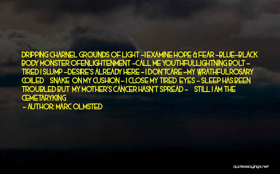 Marc Olmsted Quotes: Dripping Charnel Grounds Of Light -i Examine Hope & Fear -blue-black Body Monster Ofenlightenment -call Me Youthfullightning Bolt - Tired