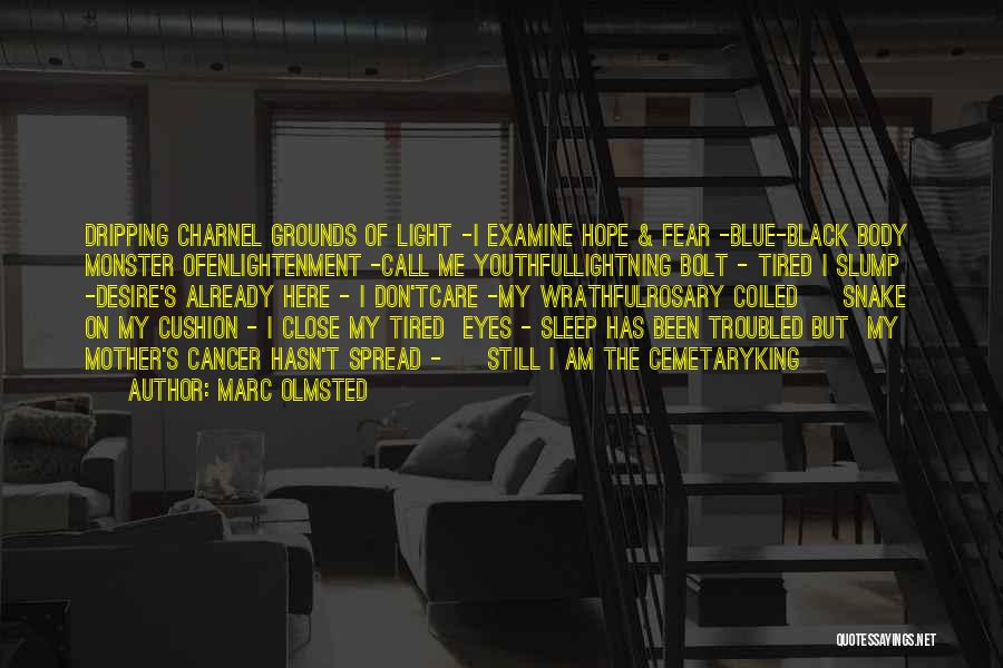 Marc Olmsted Quotes: Dripping Charnel Grounds Of Light -i Examine Hope & Fear -blue-black Body Monster Ofenlightenment -call Me Youthfullightning Bolt - Tired