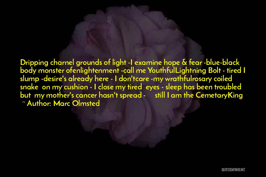 Marc Olmsted Quotes: Dripping Charnel Grounds Of Light -i Examine Hope & Fear -blue-black Body Monster Ofenlightenment -call Me Youthfullightning Bolt - Tired