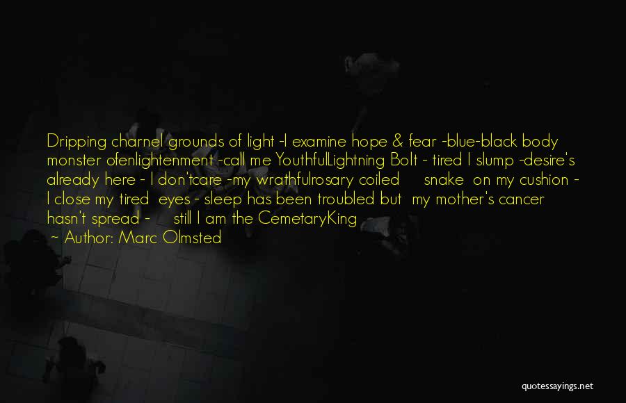Marc Olmsted Quotes: Dripping Charnel Grounds Of Light -i Examine Hope & Fear -blue-black Body Monster Ofenlightenment -call Me Youthfullightning Bolt - Tired