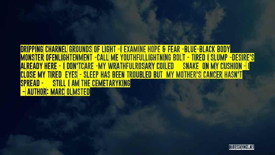 Marc Olmsted Quotes: Dripping Charnel Grounds Of Light -i Examine Hope & Fear -blue-black Body Monster Ofenlightenment -call Me Youthfullightning Bolt - Tired