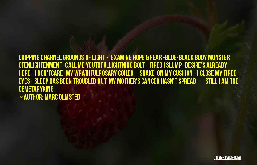 Marc Olmsted Quotes: Dripping Charnel Grounds Of Light -i Examine Hope & Fear -blue-black Body Monster Ofenlightenment -call Me Youthfullightning Bolt - Tired