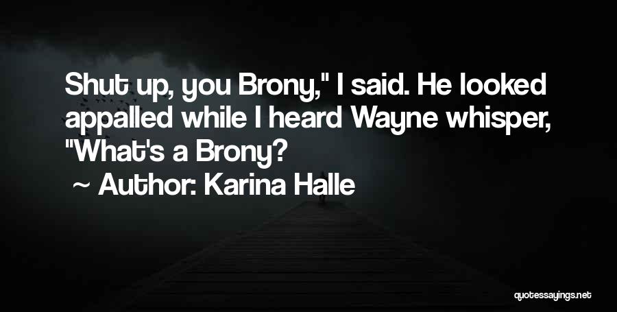 Karina Halle Quotes: Shut Up, You Brony, I Said. He Looked Appalled While I Heard Wayne Whisper, What's A Brony?