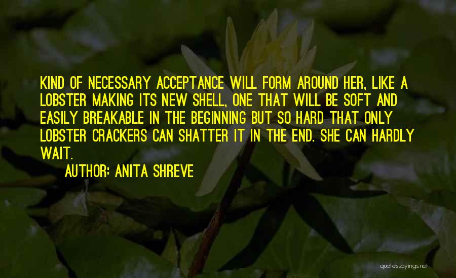 Anita Shreve Quotes: Kind Of Necessary Acceptance Will Form Around Her, Like A Lobster Making Its New Shell, One That Will Be Soft