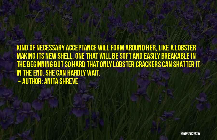 Anita Shreve Quotes: Kind Of Necessary Acceptance Will Form Around Her, Like A Lobster Making Its New Shell, One That Will Be Soft