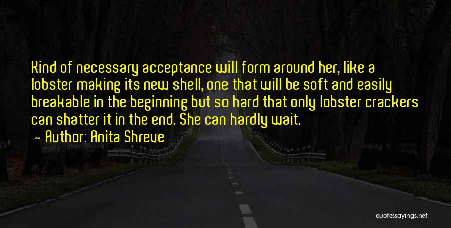 Anita Shreve Quotes: Kind Of Necessary Acceptance Will Form Around Her, Like A Lobster Making Its New Shell, One That Will Be Soft