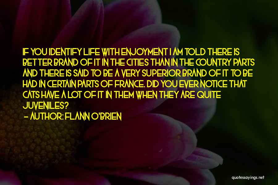 Flann O'Brien Quotes: If You Identify Life With Enjoyment I Am Told There Is Better Brand Of It In The Cities Than In