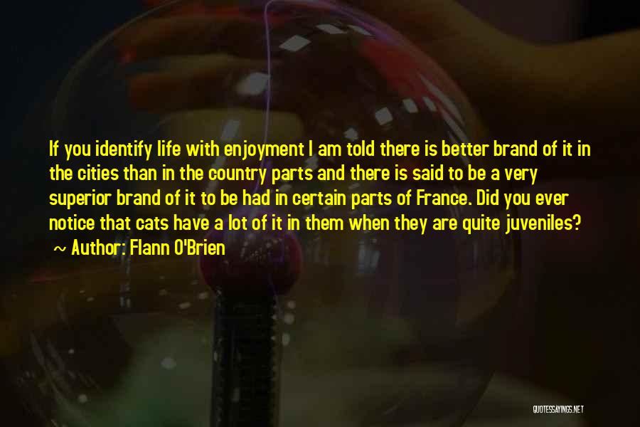 Flann O'Brien Quotes: If You Identify Life With Enjoyment I Am Told There Is Better Brand Of It In The Cities Than In